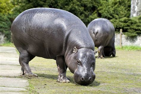 Krakowski Ogród Zoologiczny